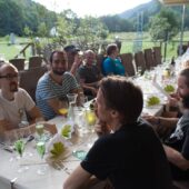  Sproing Pics (100/145)